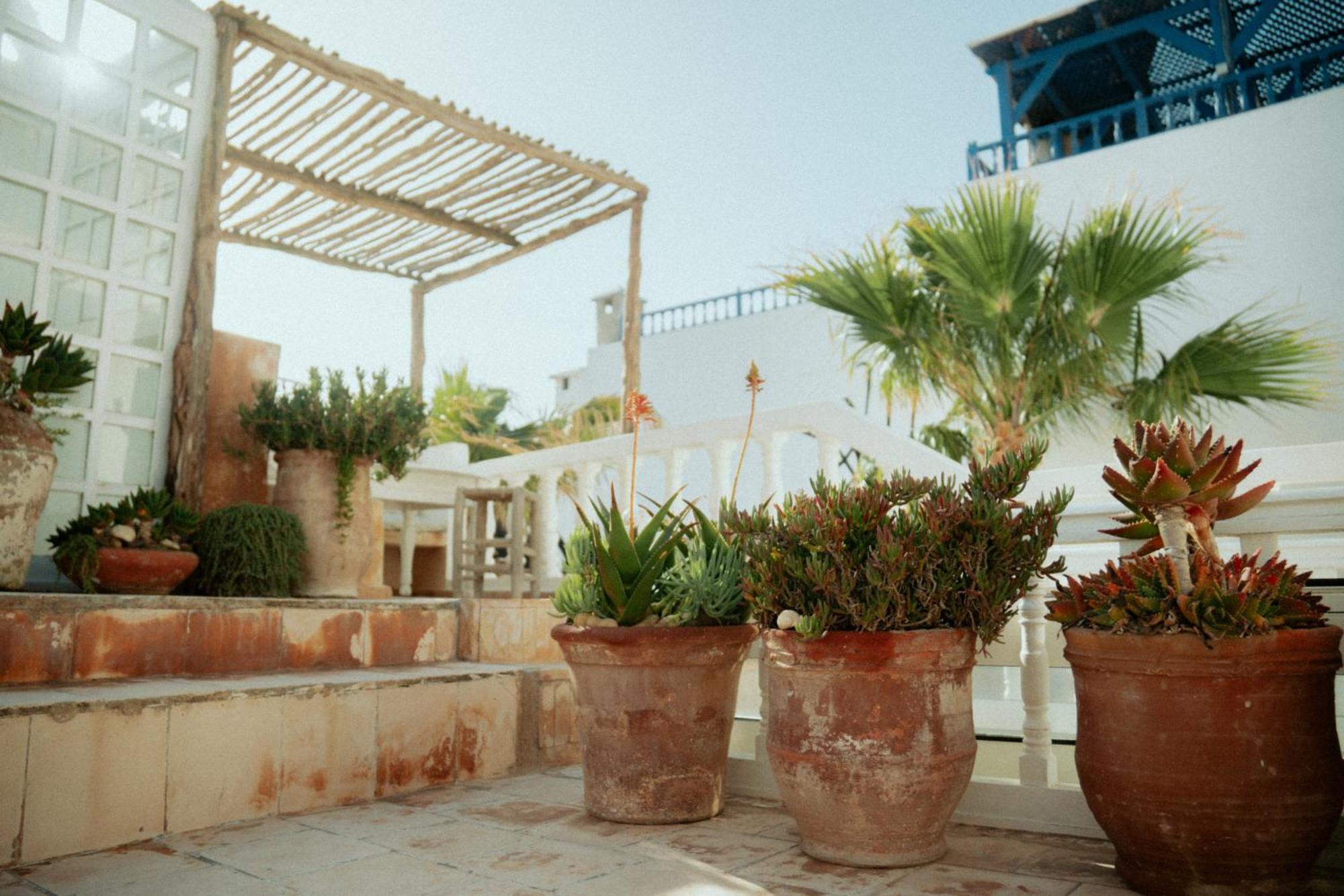 Riad Baladin Essaouira Exteriör bild