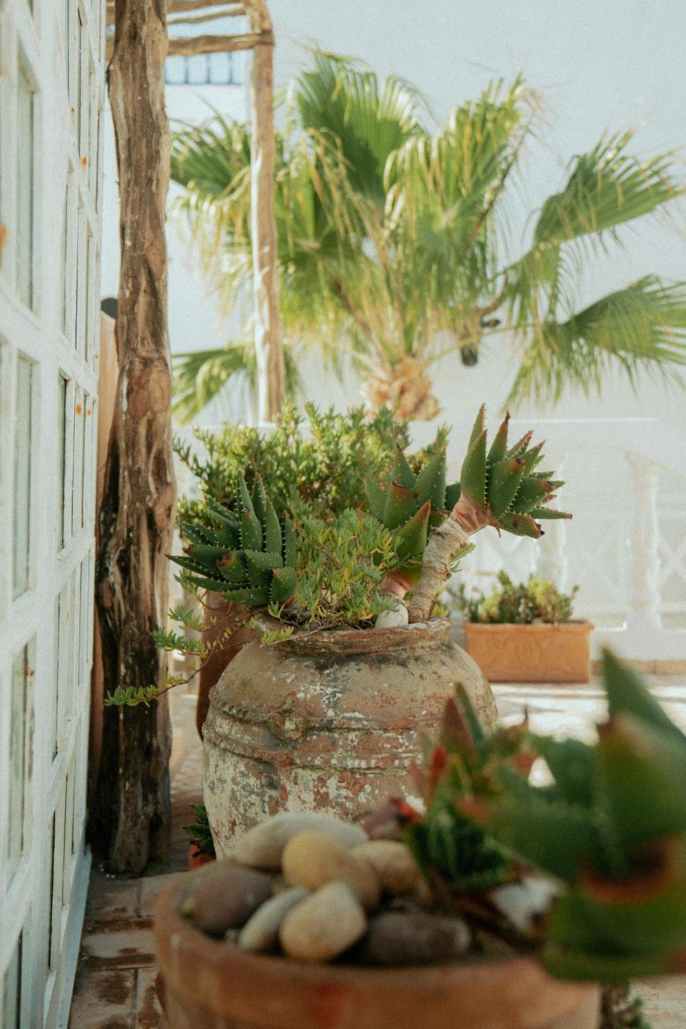 Riad Baladin Essaouira Exteriör bild